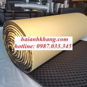 CAO SU LƯU HÓA SỌT TRỨNG